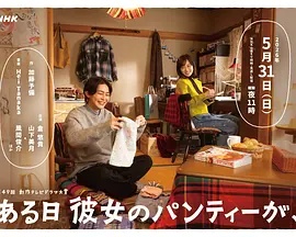 某天，她的内衣(全集)