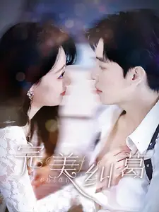 完美纠葛(全集)