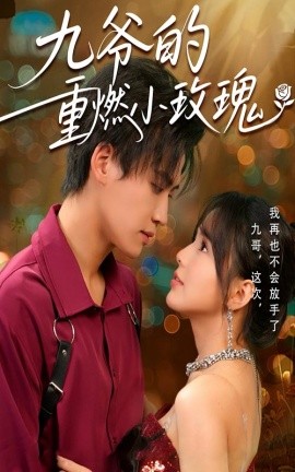 九爷的重燃小玫瑰(全集)