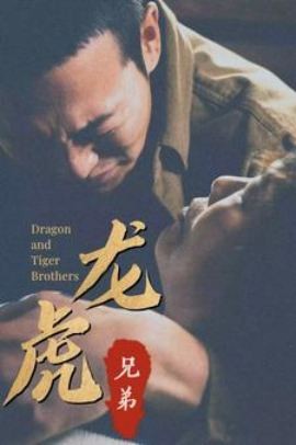 龙虎兄弟国语(全集)