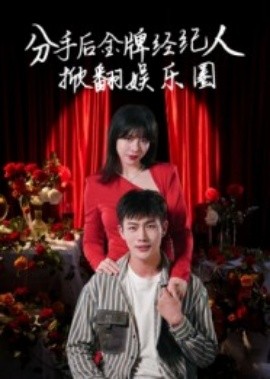 分手后金牌经纪人掀翻娱乐圈(全集)