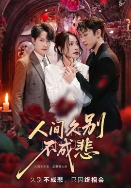 人间久别不成悲(全集)
